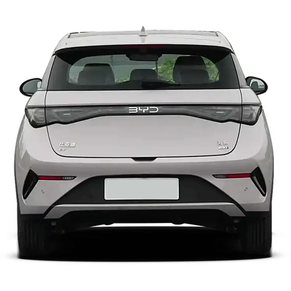 BYD Dolphin 410/420/520km 2025