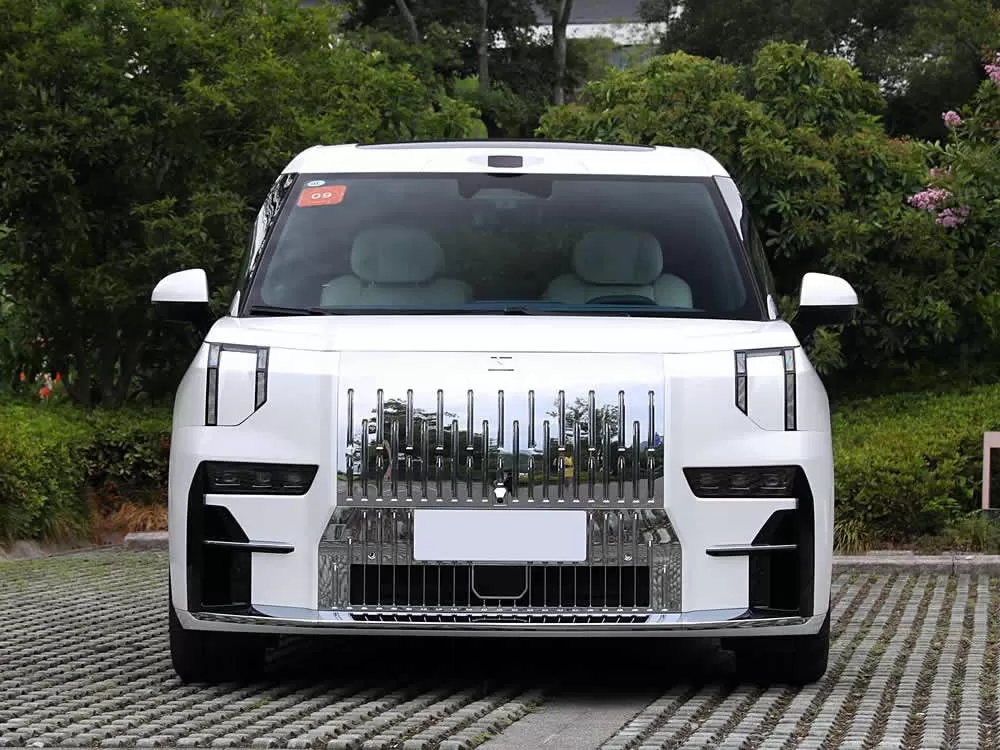 ZEEKR 009 EV 2024