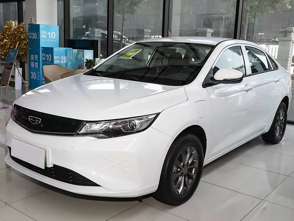 Geely Dihao Pro EV 2022