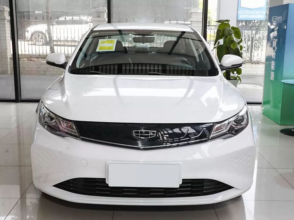 Geely Dihao Pro EV 2022