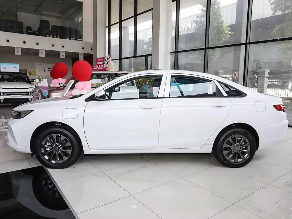 Geely Dihao Pro EV 2022