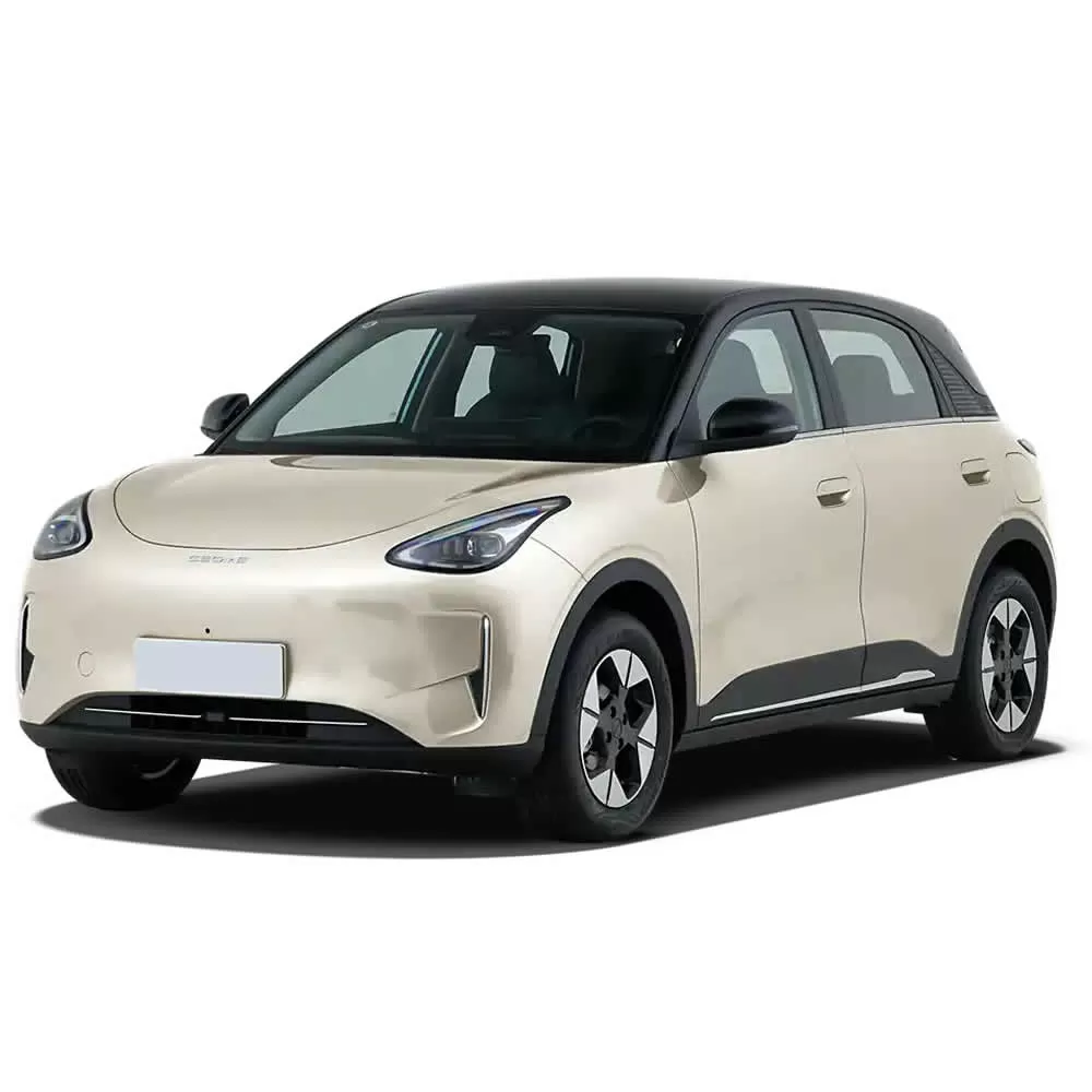 Geely Xinyuan EV 2025