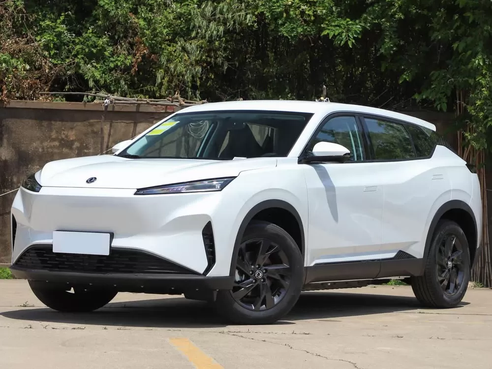 DongFeng SKY EV01 EV 2025