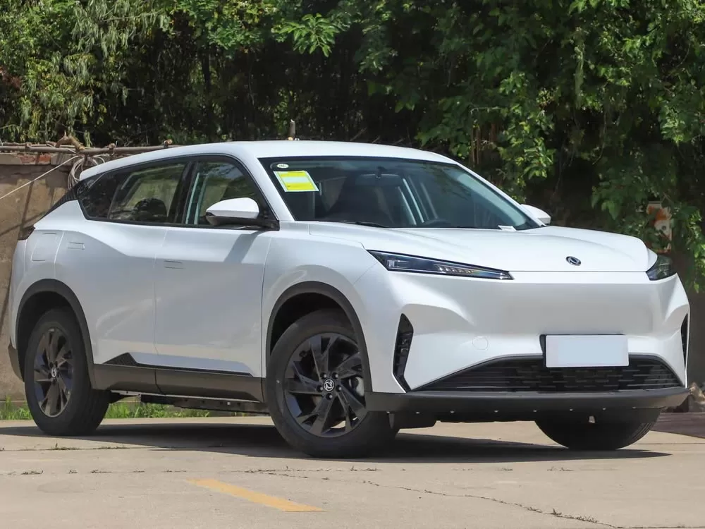 DongFeng SKY EV01 EV 2025