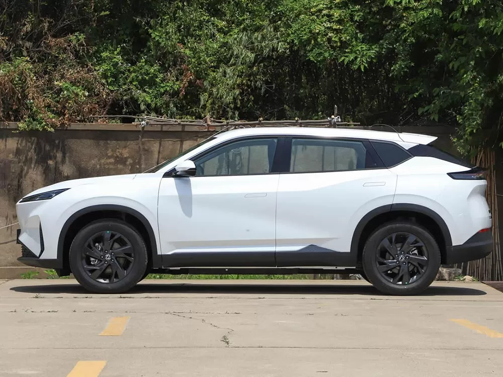DongFeng SKY EV01 EV 2025