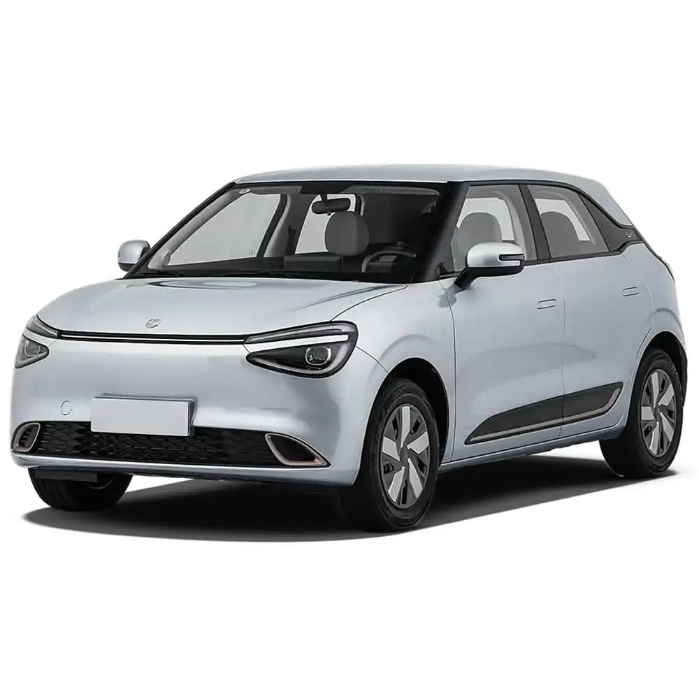 DongFeng NAMMI 01 EV 2025