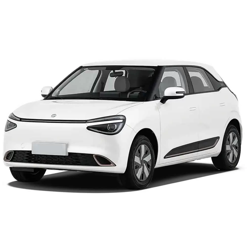 DongFeng NAMMI 01 EV 2025
