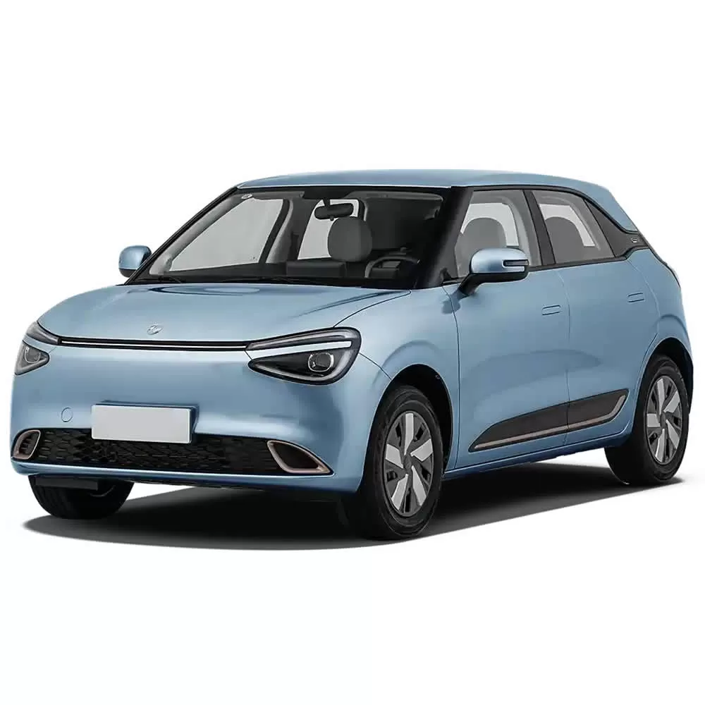 DongFeng NAMMI 01 EV 2025
