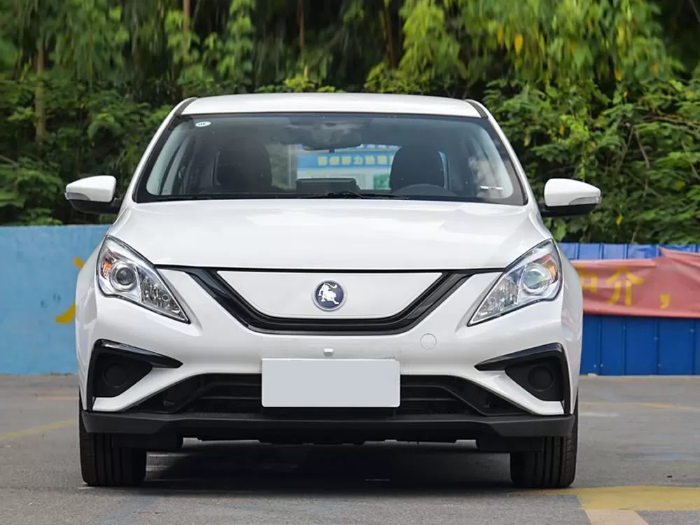 DongFeng FORTHING S50 EV 2024