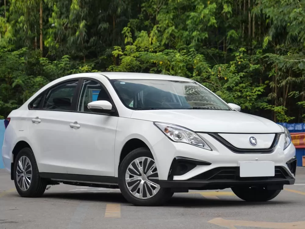 DongFeng FORTHING S50 EV 2024