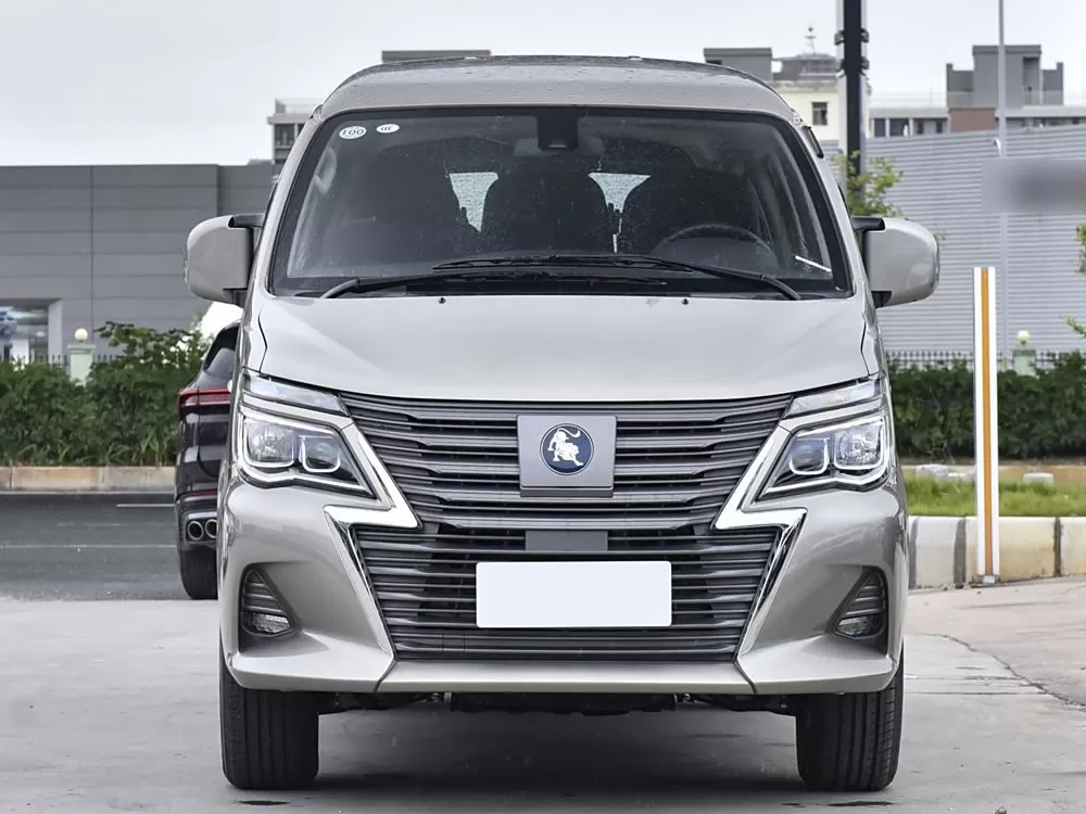 DongFeng FORTHING LingZhi M5 EV 2024