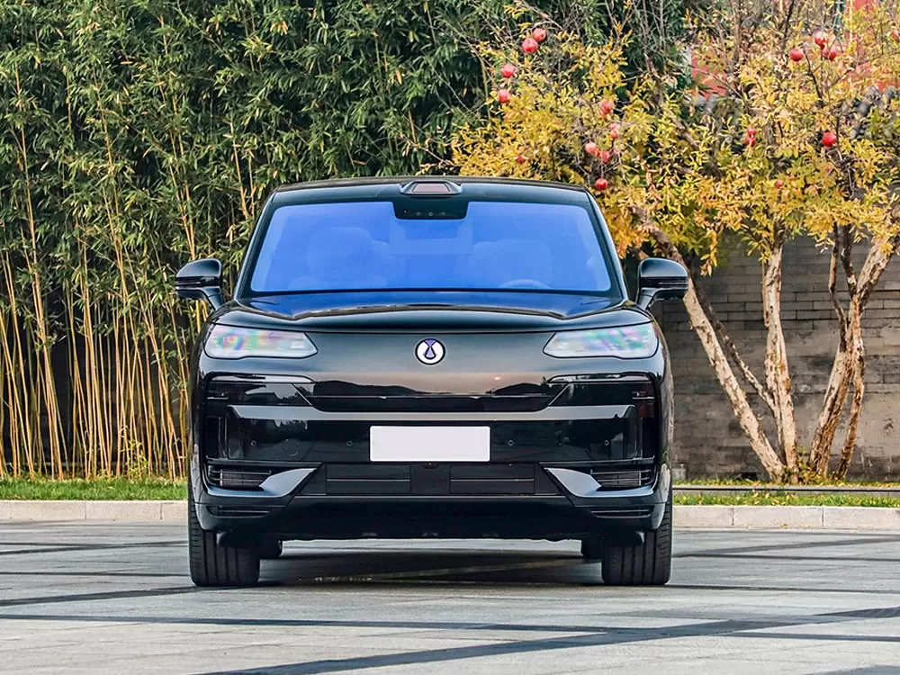 Denza N9 EV 2025