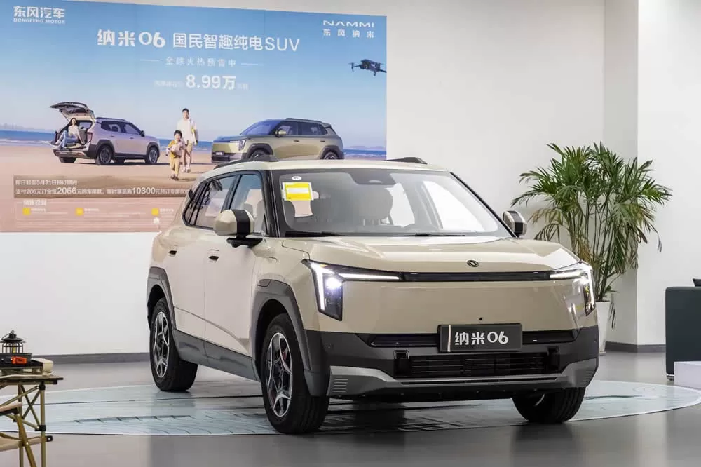 Dongfeng Nami 06