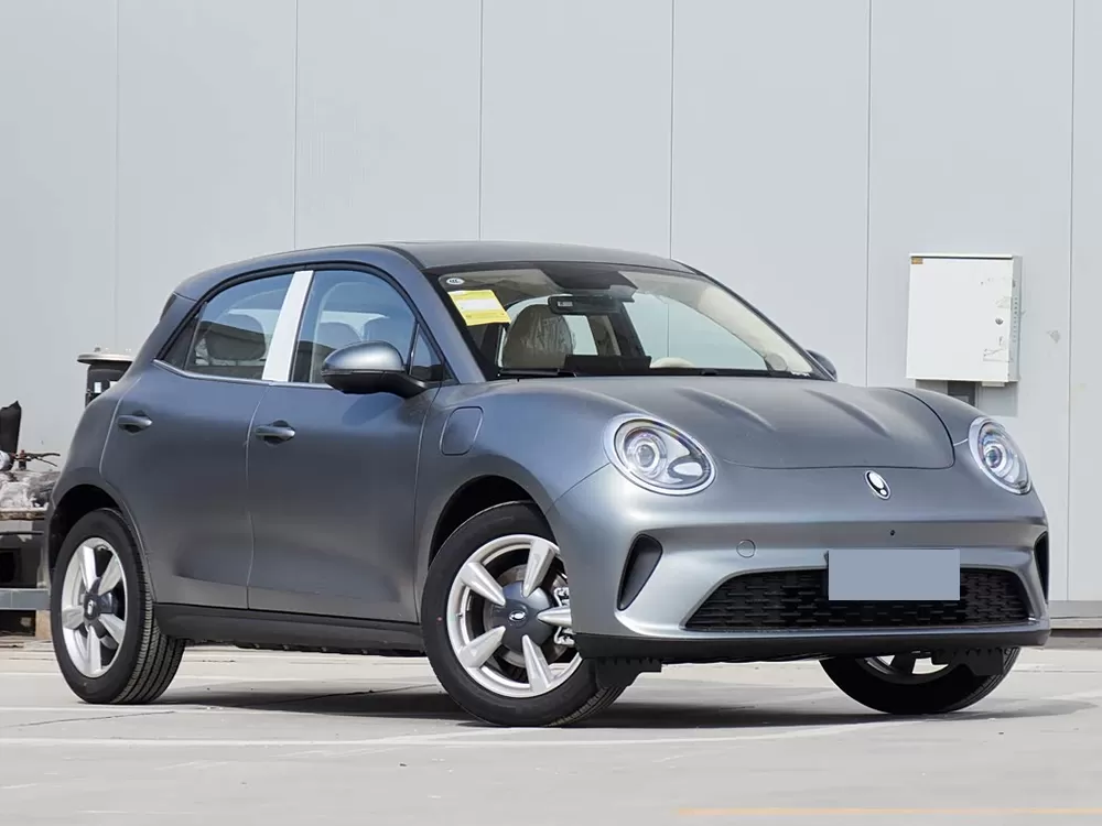 GWM ORA Buen Gato EV 2025
