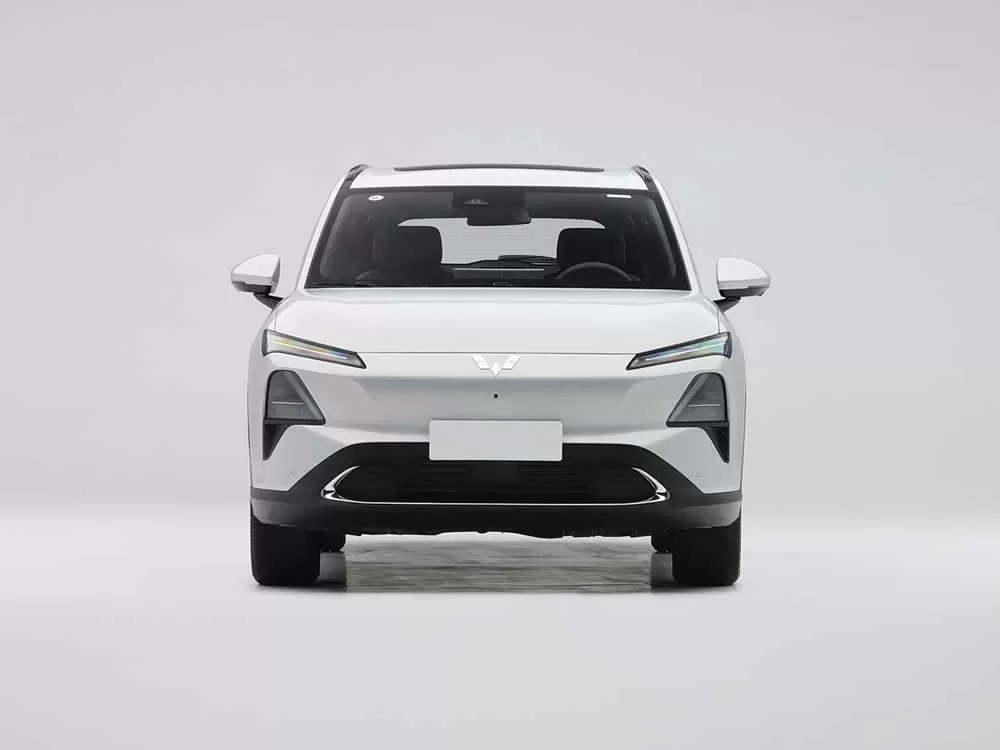 Wuling Starlight / Xingguang 60 km 130 km 510 km 2025