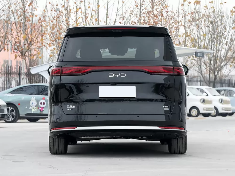 بي واي دي M9 2025