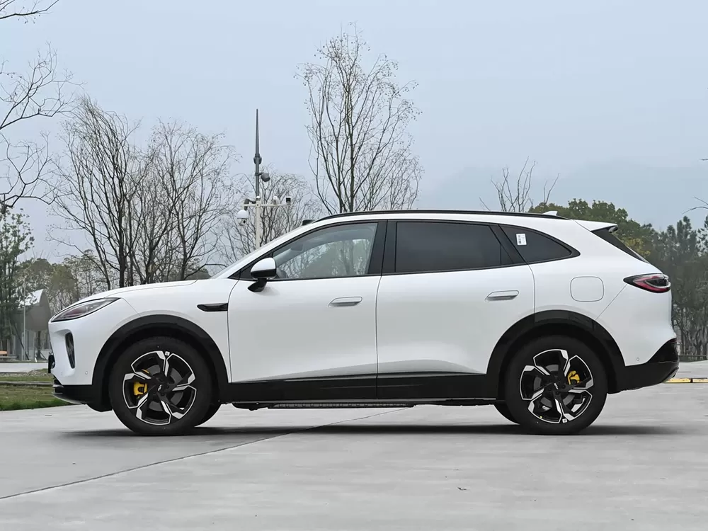 شيري فولوين T9L 2026