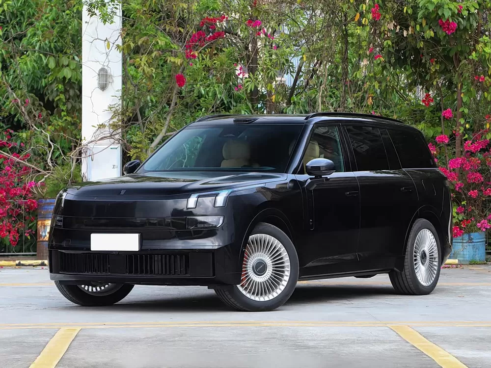 لينك آند كو 900 EM-P 2026