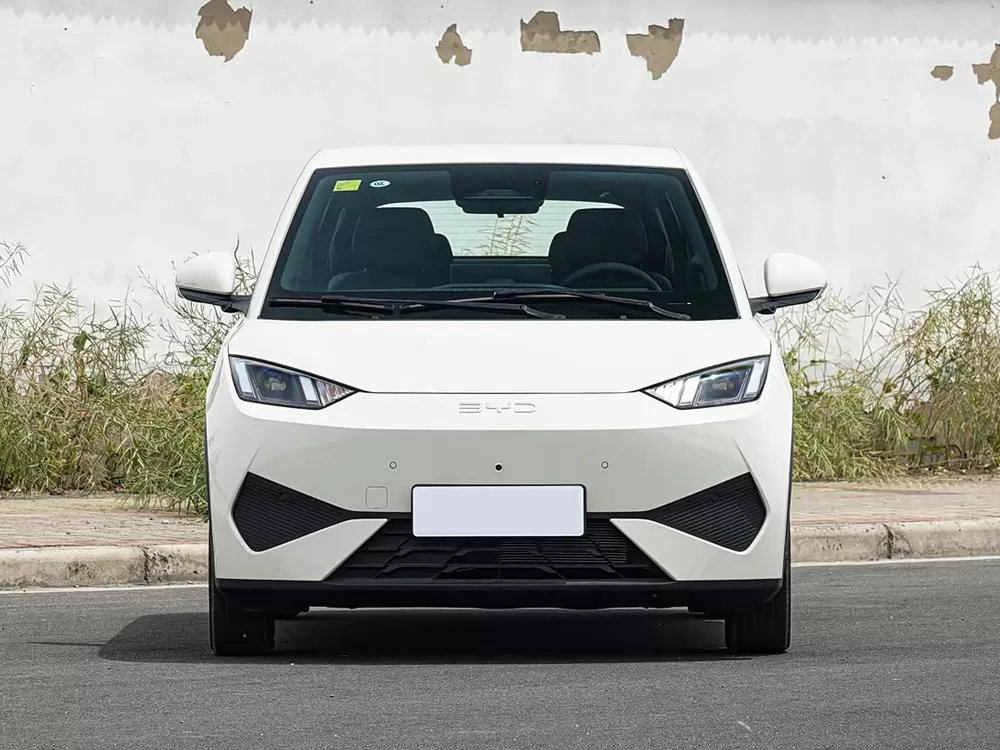 BYD Seagull 2026