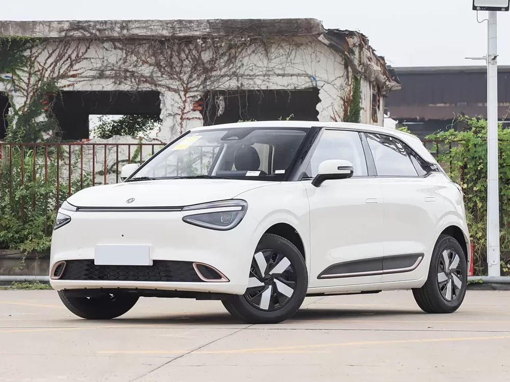 DongFeng NAMMI 01 EV 2025