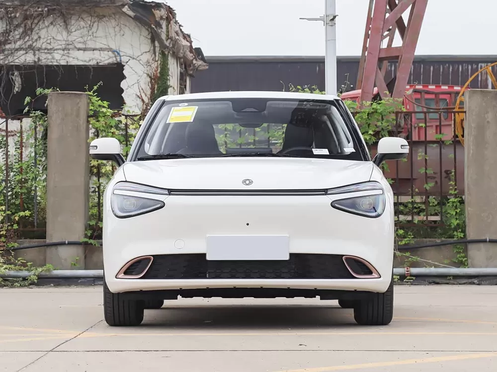 DongFeng NAMMI 01 EV 2025