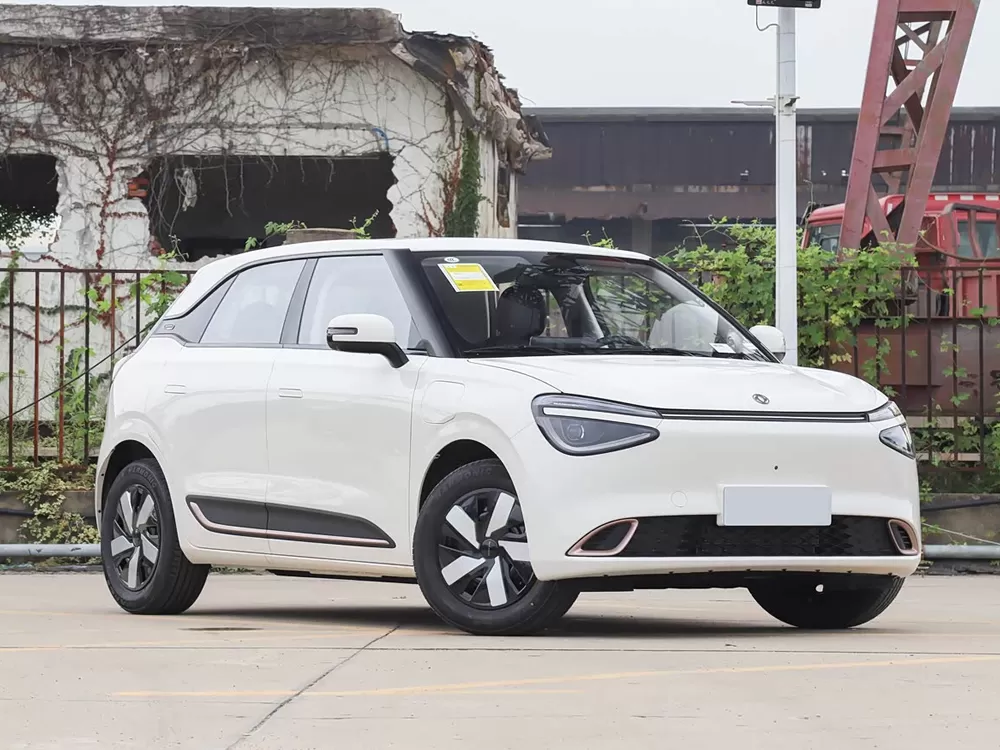 DongFeng NAMMI 01 EV 2025