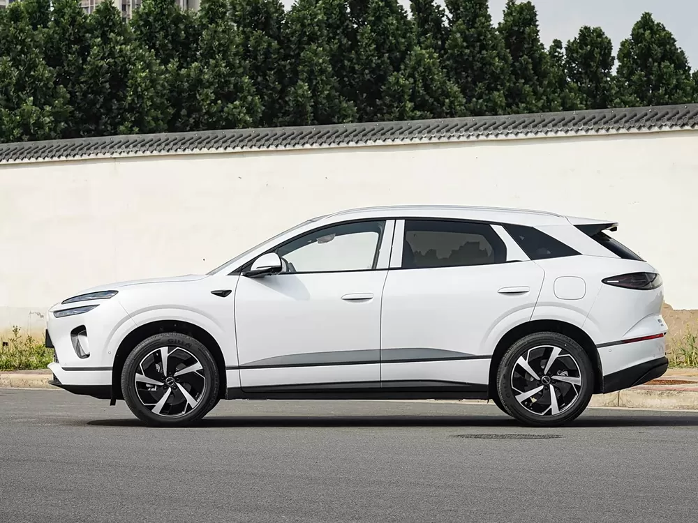 بي واي دي سيليون 06 DM-i 2026 205/310KM