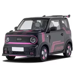 Geely Panda EV 2025