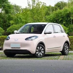 Wuling Bingo 203km 333km 410km 2025