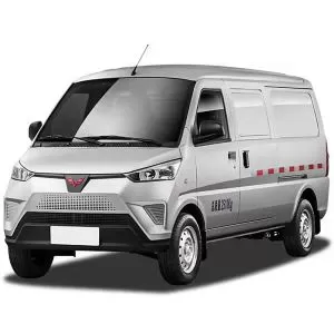 Wuling EV50 2023