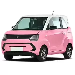 DongFeng FENCON MINIEV 2022