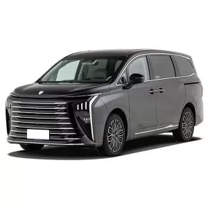 DongFeng FORTHING XingHai V9 EV 2024