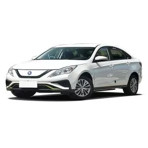 DongFeng FORTHING S50 EV 2024