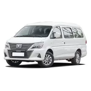 DongFeng FORTHING LingZhi M5 EV 2024