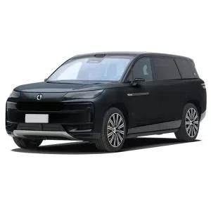Denza N9 EV 2025