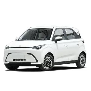 Chery QQ Duomi EV 2025