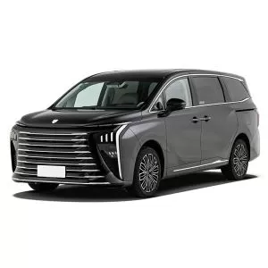 دونغفنغ فورثينغ شينغهاي V9 EV 2026