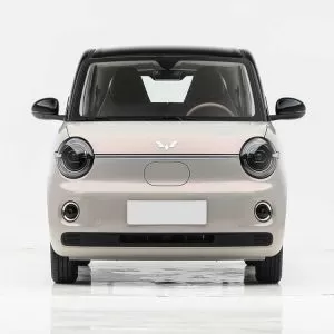 2026 Wuling Hongguang MINIEV (Fifth Generation) Opens for Pre-orders