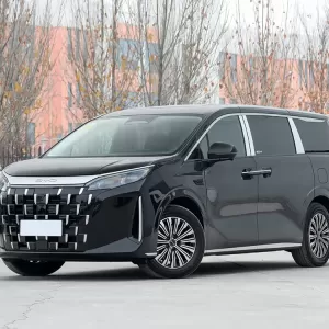 بي واي دي M9 2025