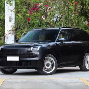 لينك آند كو 900 EM-P 2026