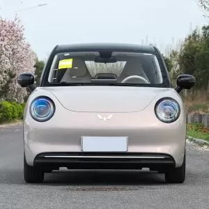 2026 Wuling Bingo Pro Pure Electric Compact Car Launched, Starting at &yen;56,800
