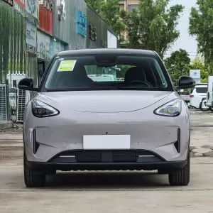 2026 All-New GEELY Xingyuan Pure Electric Compact Car Launched