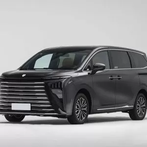 DongFeng FORTHING XingHai V9 2027